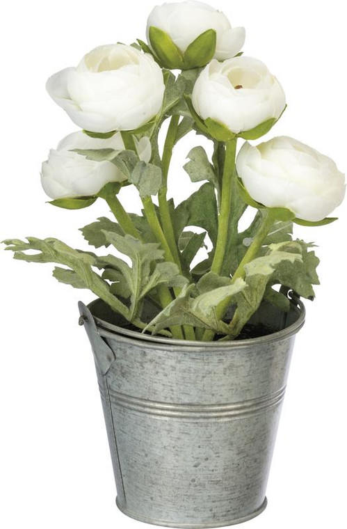 102341 Floral - White Ranunculus - Set Of 6 By Primitives By Kathy