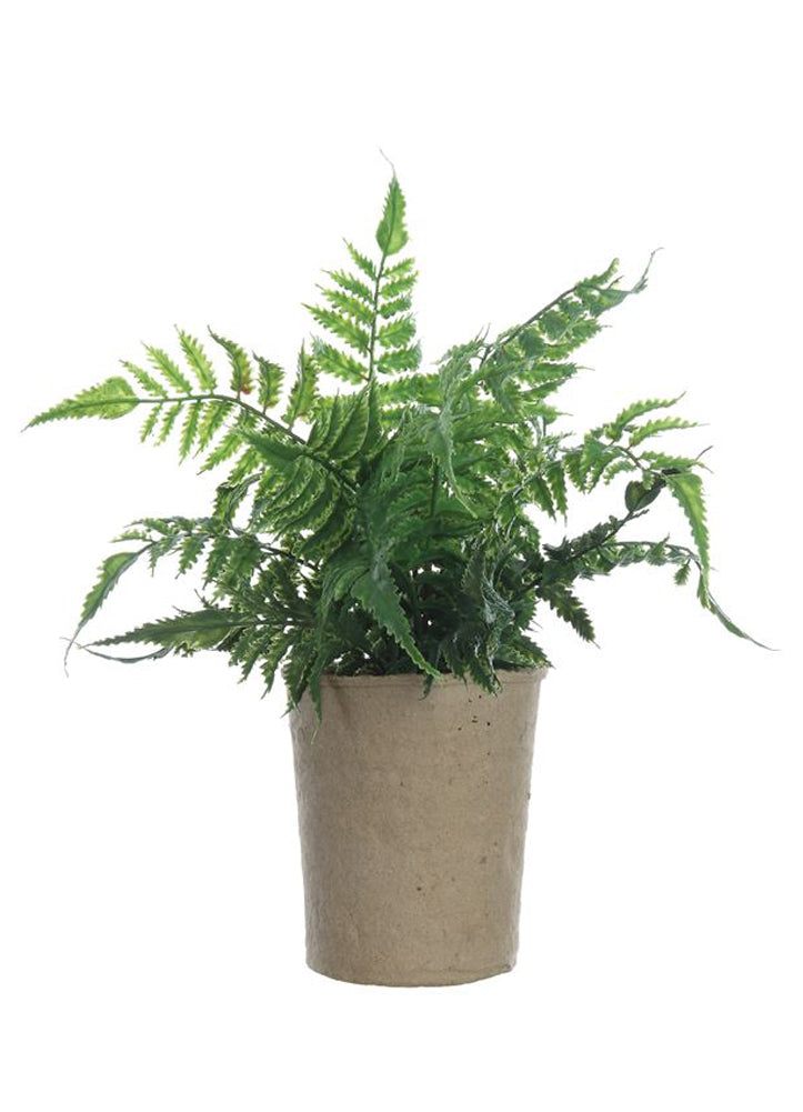 Creative Co-op Faux Fern In Paper Pot By Co-op