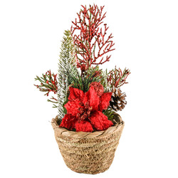 Hx Xm Flower In Basket 25cm