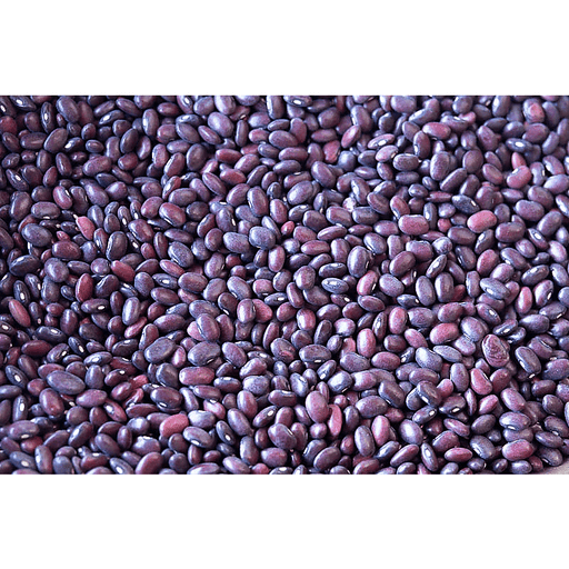 Rancho Gordo Domingo Rojo Bean