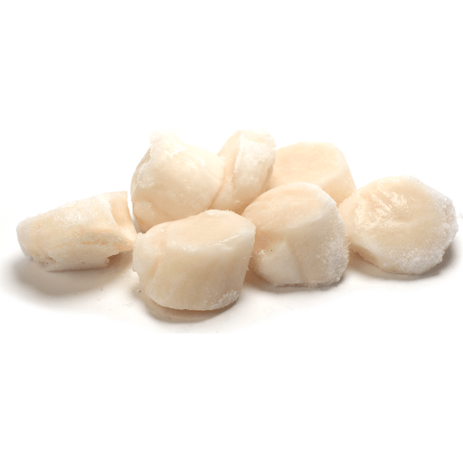 Frozen Scallops
