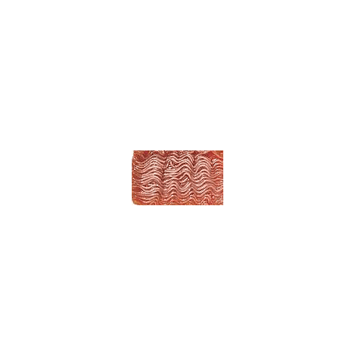 Salmon Salsa