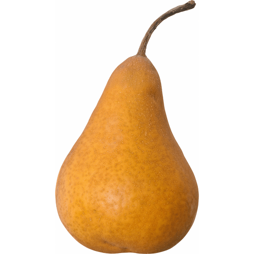 Bosc Pear