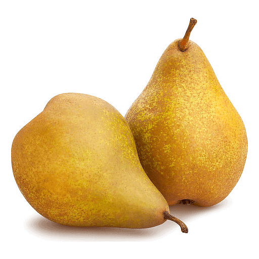 Pears Bosc Fresh