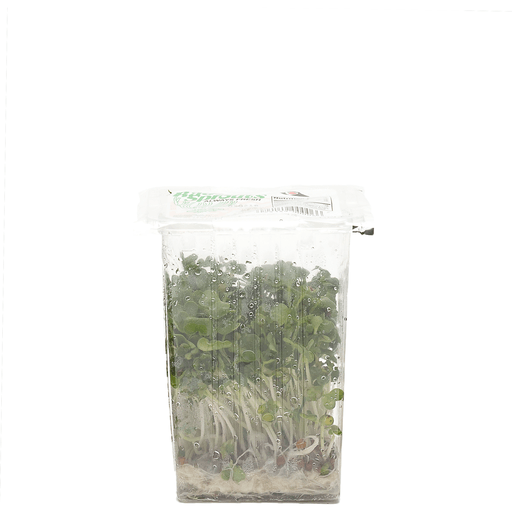Sprout Daikon 2.5 OZ