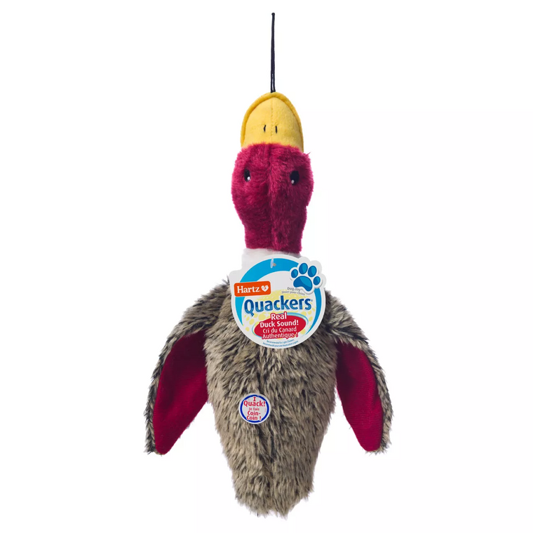 Hartz Nature's Collection Dog Toy, Large, Quackers