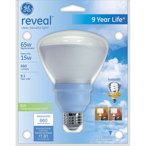 GE Reveal 15 Watt Floodlight