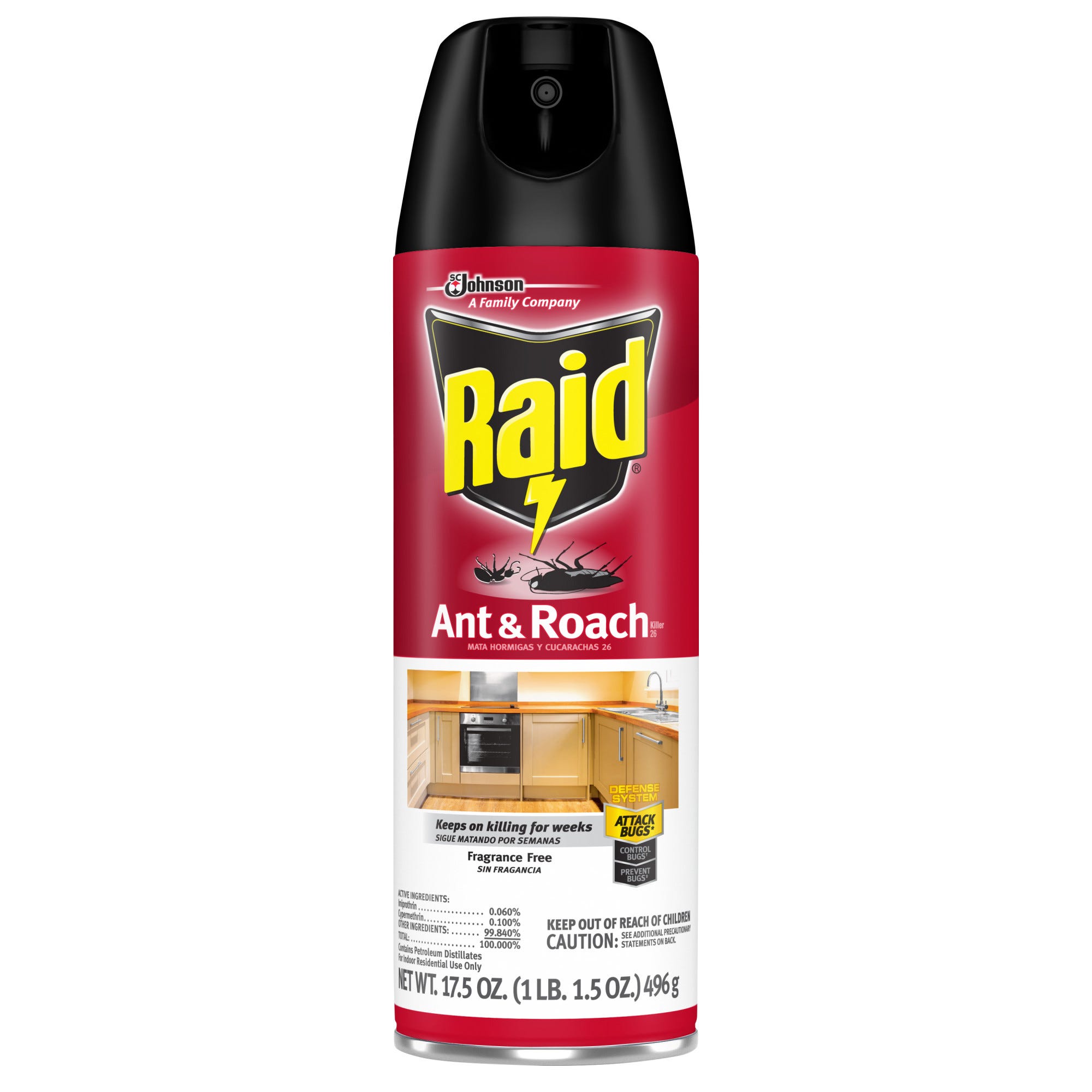 Raid Fragrance Free Ant & Roach Killer 17.5 Oz. Aerosol Can