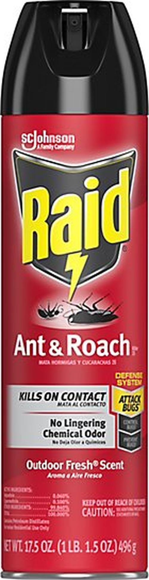Raid Ant & Roach Killer, Outdoor Fresh Scent, 17.5 Oz