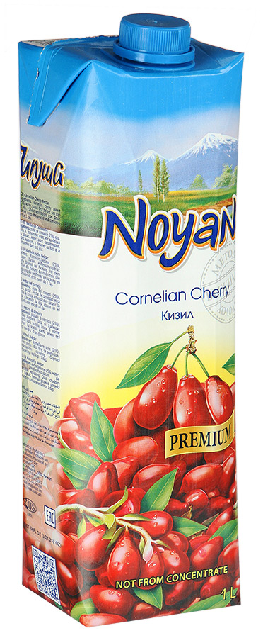 Noyan Cornelian Cherry