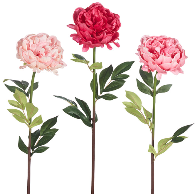 RAZ Imports Real Touch Peony Stem Assorted
