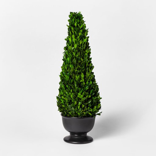 Smith & Hawken Preserved Boxwood Conetree