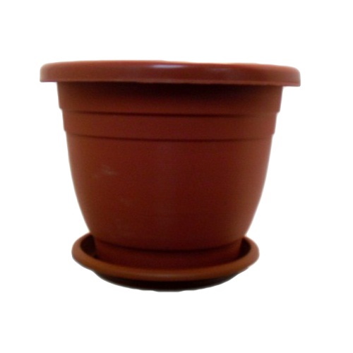 Planter W-Tray 9in Plastic