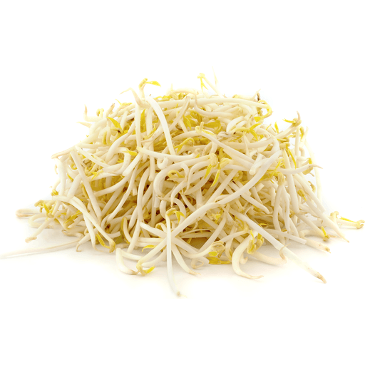 Salad Cosmo Mung Bean Sprouts