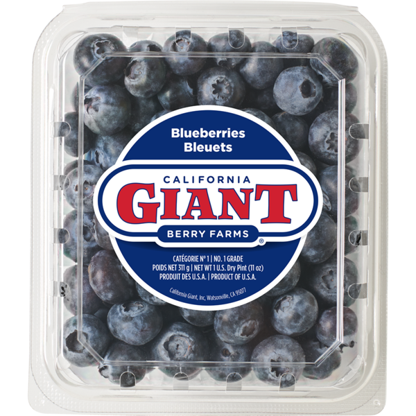 Fresh Blueberries, 1 Pint