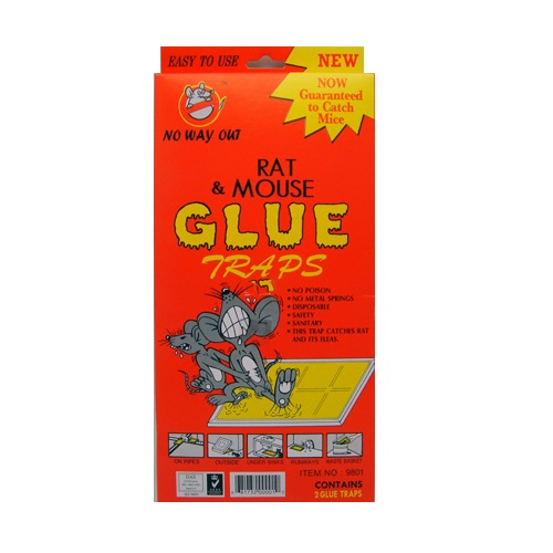 Rat & Mouse Glue Traps 2pk Lg-whole