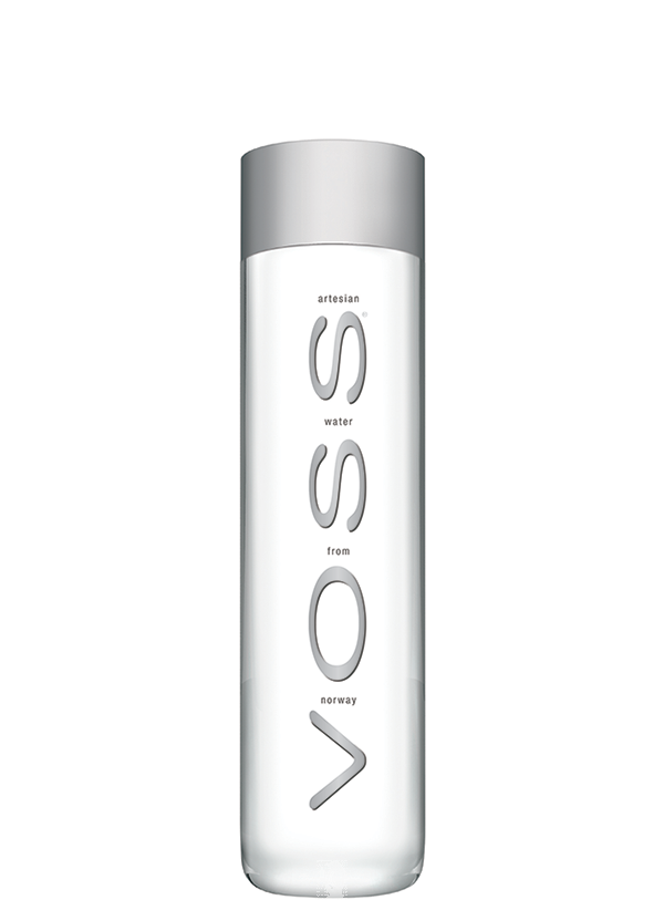 Voss Artesian Water - 16.9 Fl Oz Bottle
