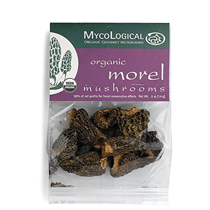 Mycological Mushrooms, Morel