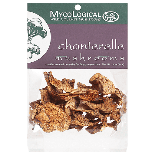 Mycological Chanterelle Wild Mushroom