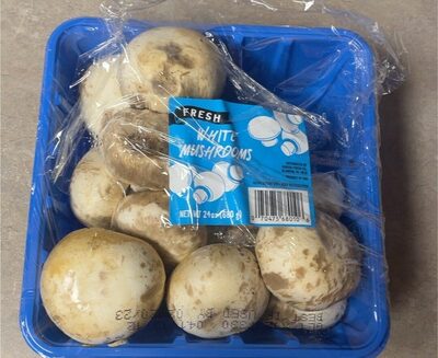 MG Alimentos White Mushrooms - 24 Oz (1 Lb 8 Oz) 680 G