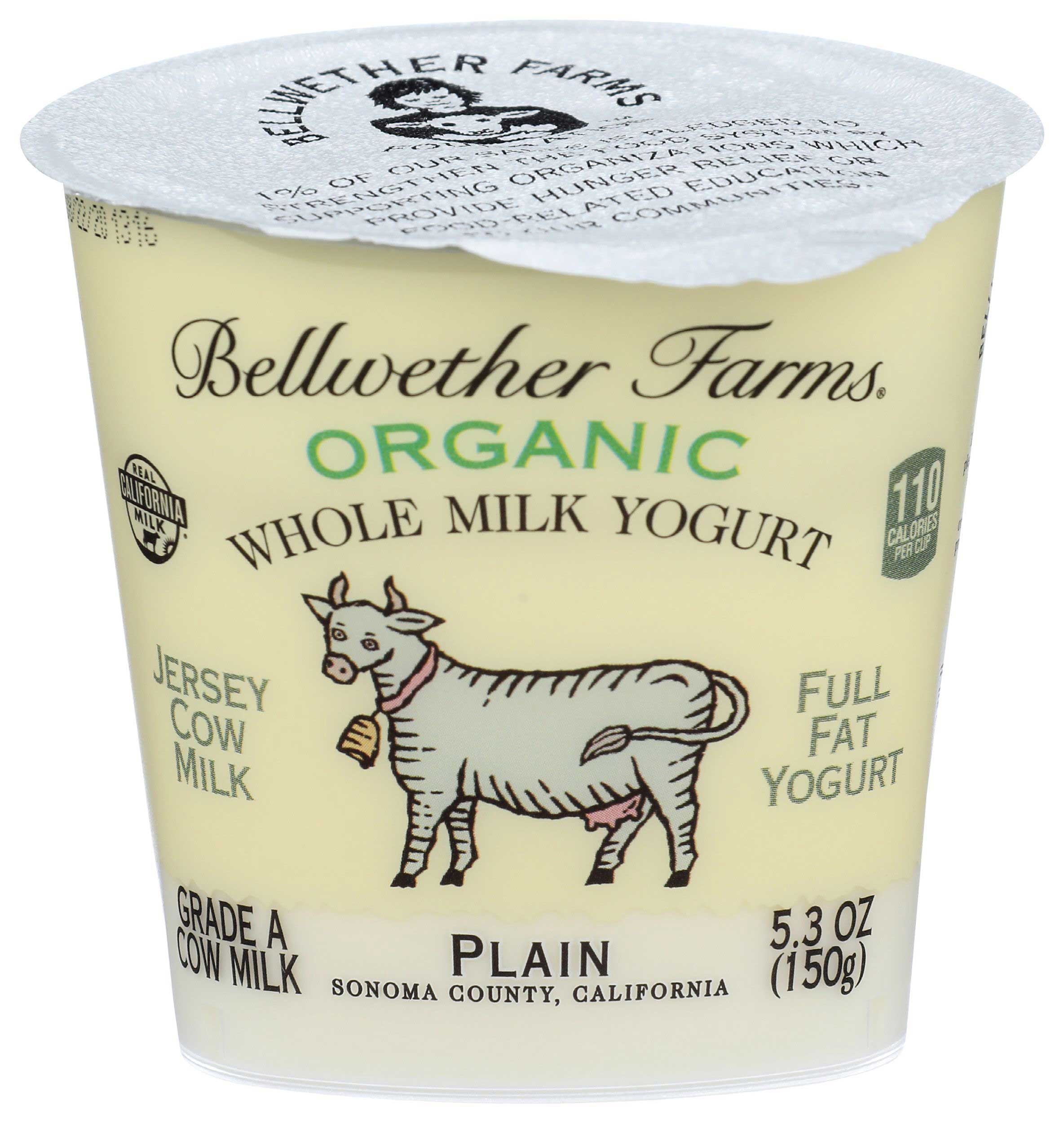 Bellwether Farms Organic Whole Milk Yogurr