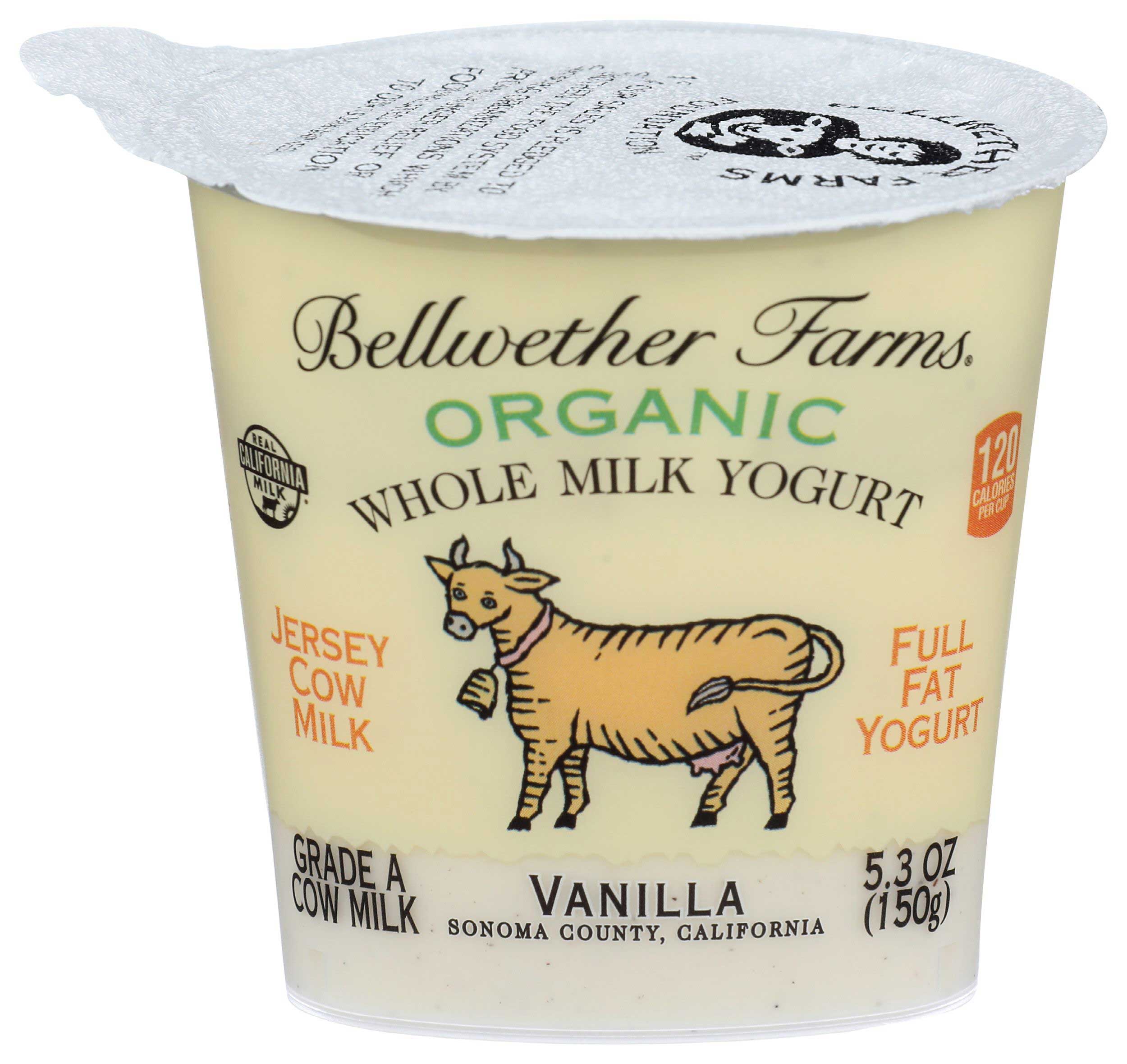 Bellwether Farms Whole Milk Yogurt