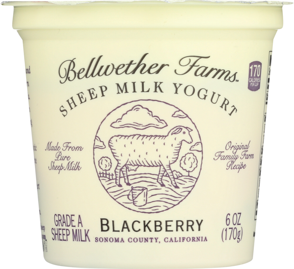 Bellwether Farms Yogurt, Sheep Milk, Blackberry