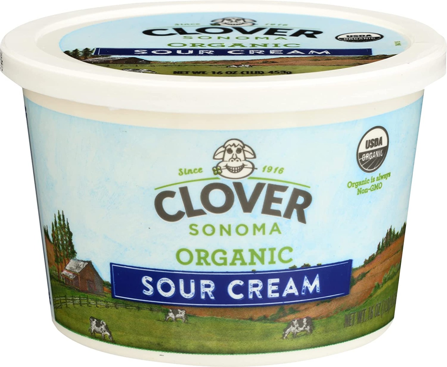 Clover Organic Sour Cream, 16 Oz