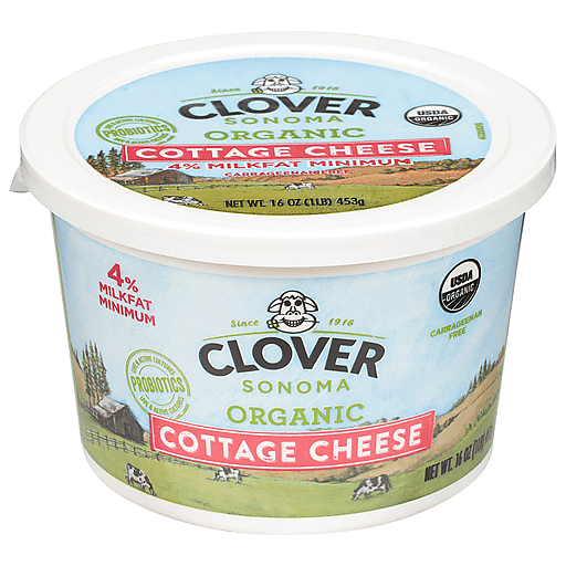 Clover Sonoma Organic Small Curd Cottage Cheese, 16 Oz