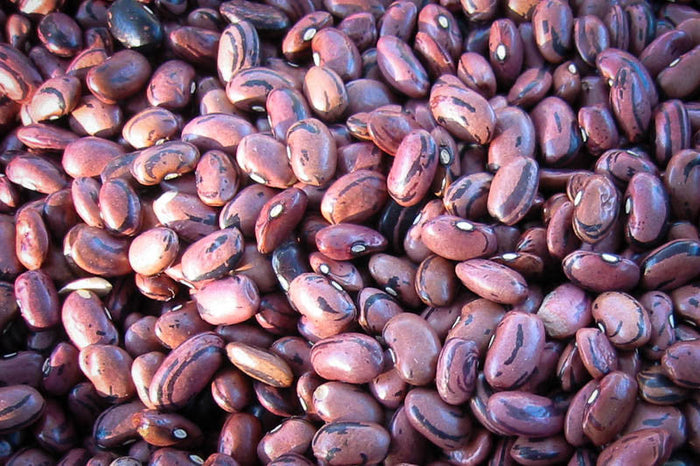 Rancho Gordo Rio Zape Beans, 1lb Bag