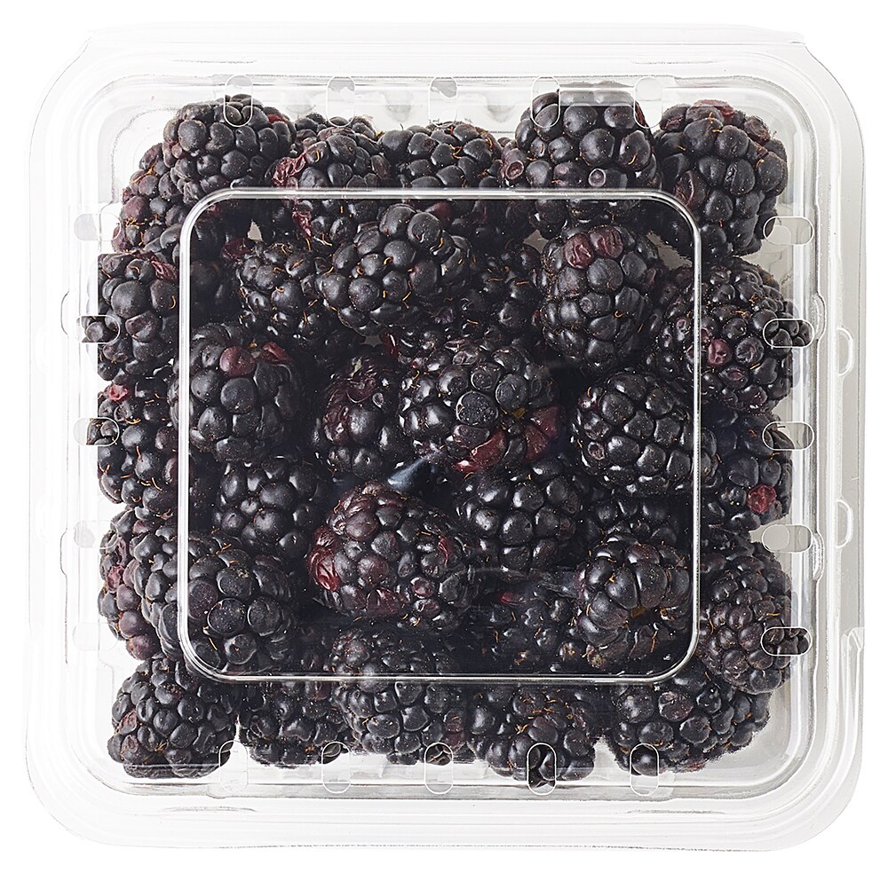 Driscoll's Organic Blackberries - 6oz