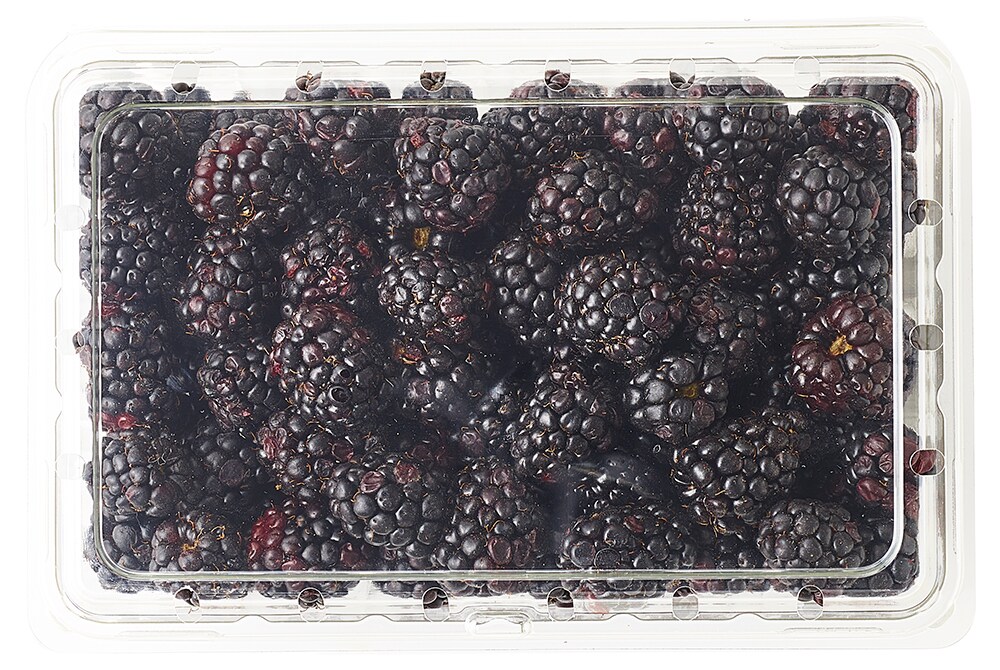 Driscoll's Organic Blackberries