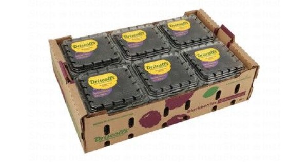 Driscoll S Blackberries