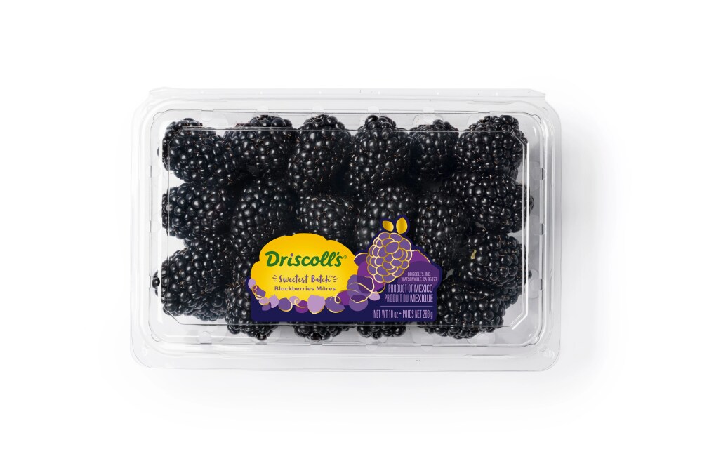 Driscoll's Sweetest Batch Blackberries 10 Oz