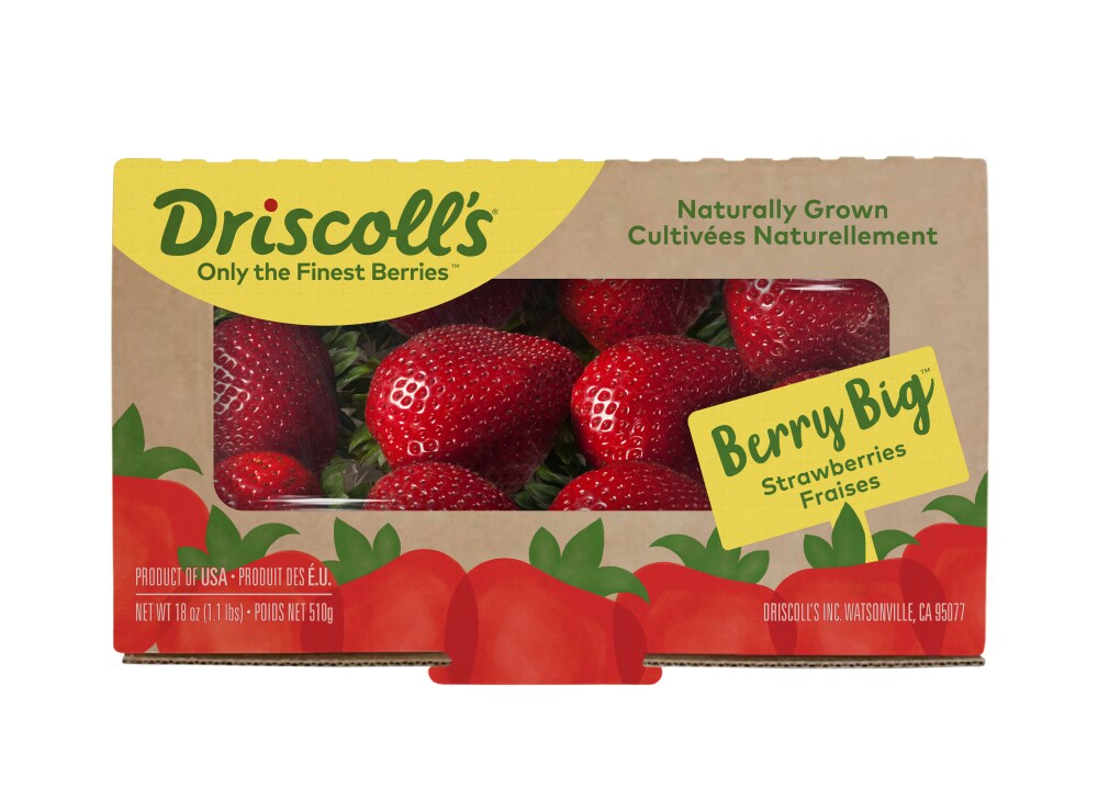 Driscoll S Berry Big Strawberries