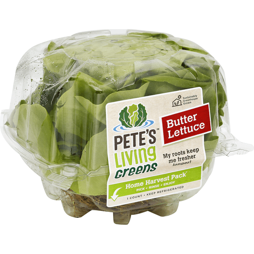 Petes Living Greens Butter Lettuce, Home Harvest Pack