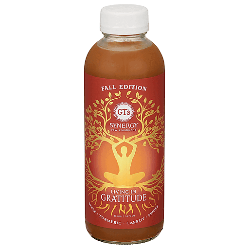 GT's Kombucha, Raw, Living In Gratitude 16 Fl Oz