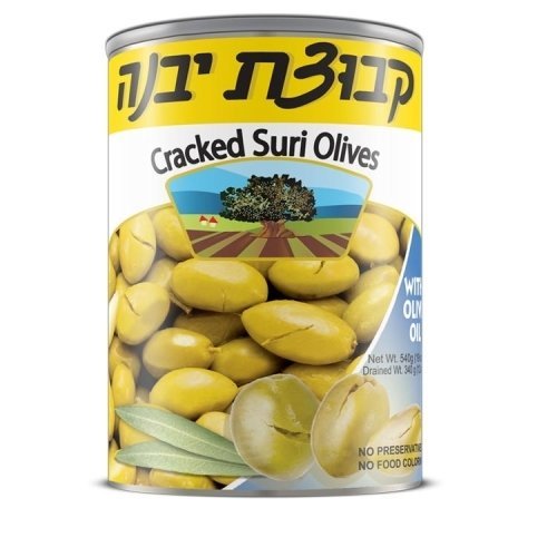 Kuvzat Olive Yavne Suri 19 Oz