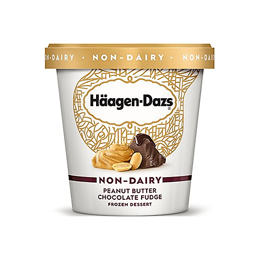 Haagen Dazs Ice Cream Bar, Vanilla & Dark Chocolate