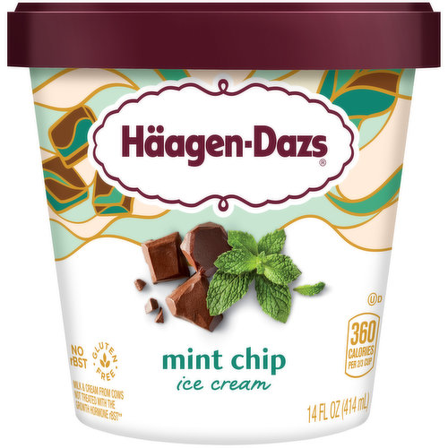 Haagen-Dazs Häagen-Dazs Mint Chip Ice Cream, 14 Fl Oz
