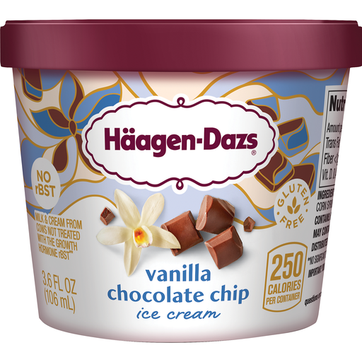Haagen-Dazs Vanilla Chocolate Chip Ice Cream