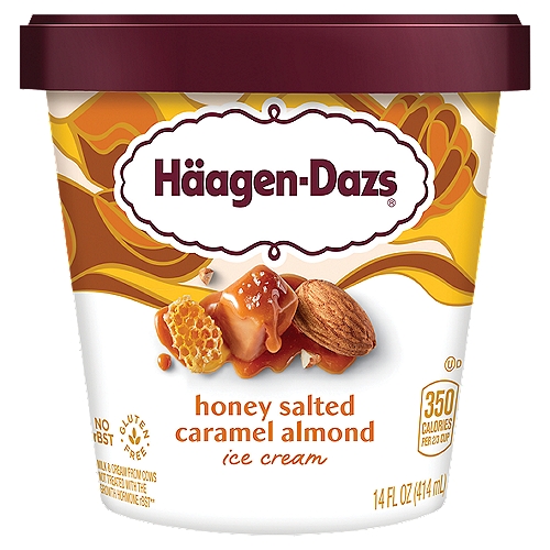 Haagen-Dazs Honey Salted Caramel Almond Ice Cream - 14oz
