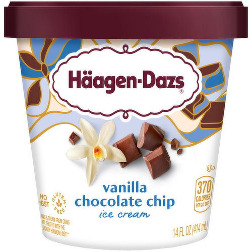 Haagen-Dazs Vanilla Chocolate Chip Ice Cream 14 Fl Oz