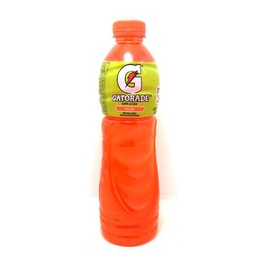 Gatorade Melon 20.3oz