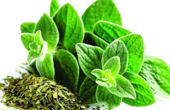 Homemade Oregano Product, Each