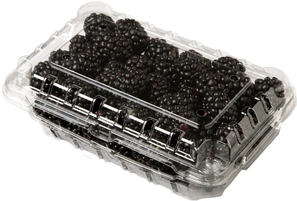 Blackberries