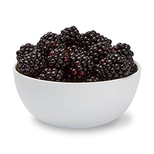 Fresh Blackberries