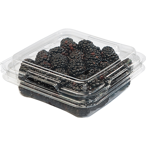 Mainland Farms Blackberries
