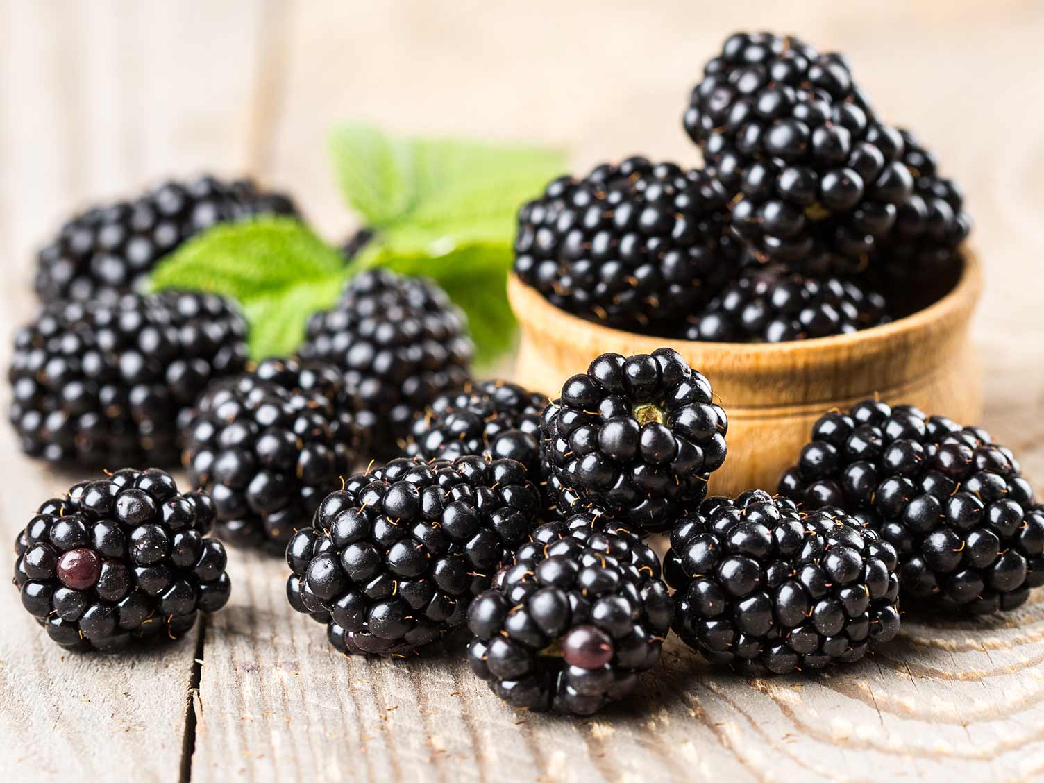 Blackberries