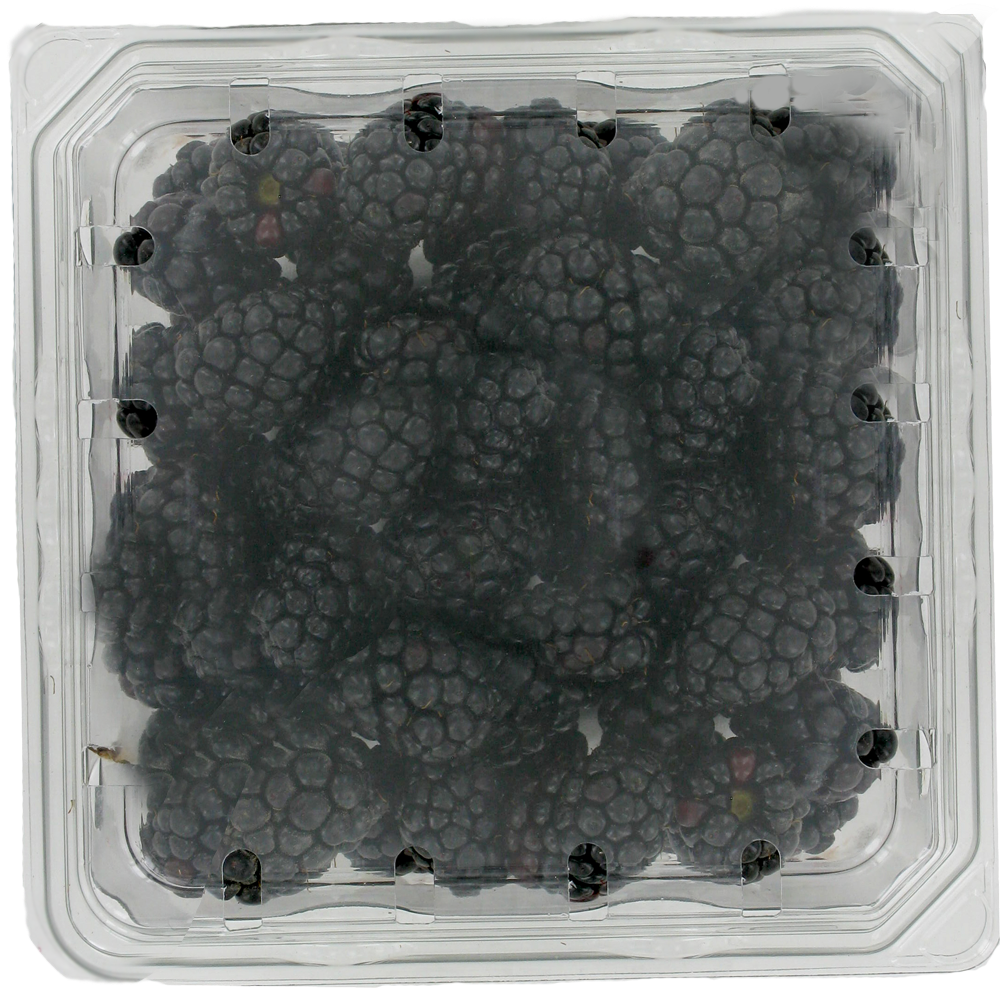 Blackberries